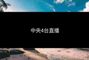 中央4台直播