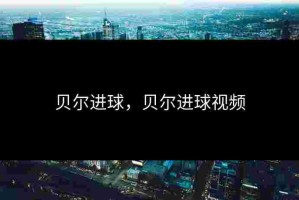 贝尔进球，贝尔进球视频