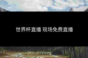 世界杯直播 现场免费直播