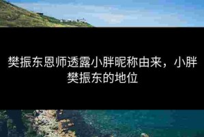 樊振东恩师透露小胖昵称由来，小胖樊振东的地位