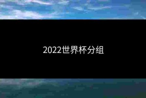 2022世界杯分组