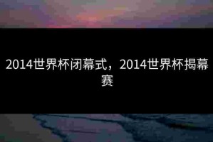 2014世界杯闭幕式，2014世界杯揭幕赛