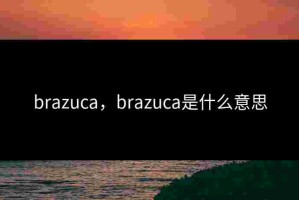 brazuca，brazuca是什么意思