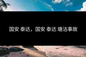 国安 泰达，国安 泰达 塘沽事故