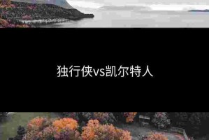 独行侠vs凯尔特人