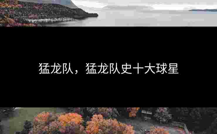 猛龙队,猛龙队史十大球星 猛龙队,猛龙队史十大球星